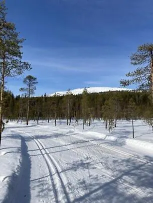 Villa Nordic Design *