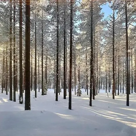 Nordic Design