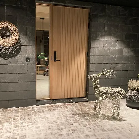 Villa Nordic Design Levi