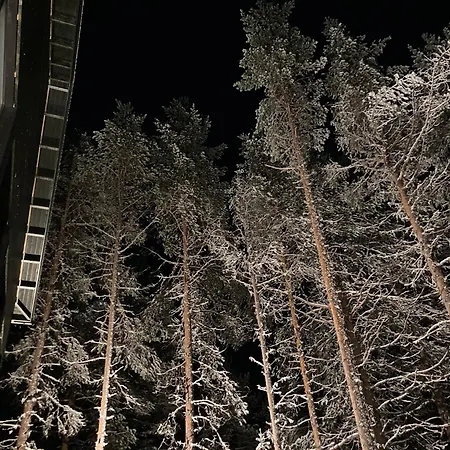 Villa Nordic Design *
