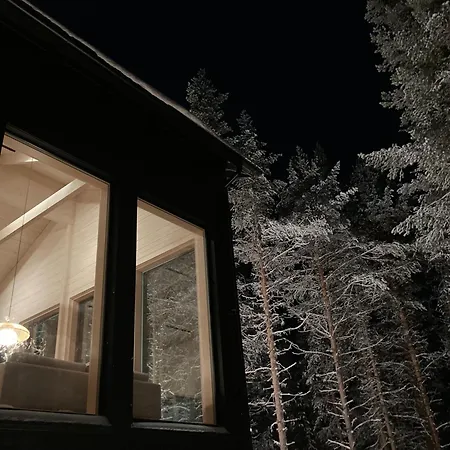 Villa Nordic Design *