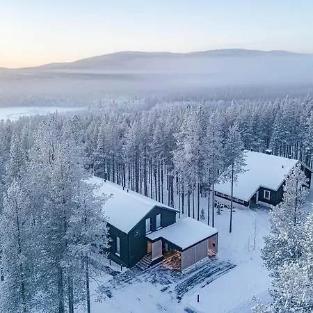 Arctic Design *