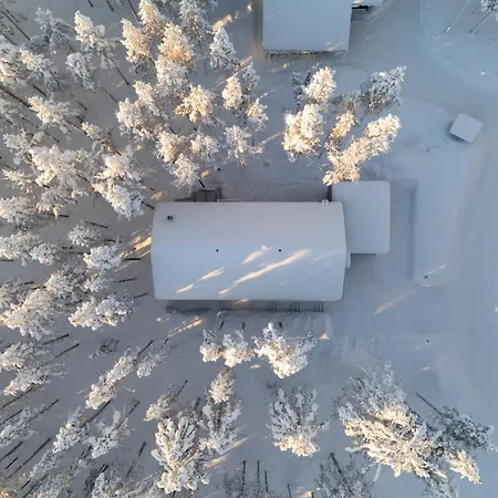 Arctic Design *