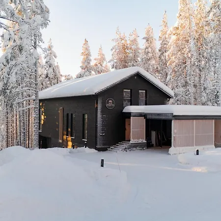 Arctic Design