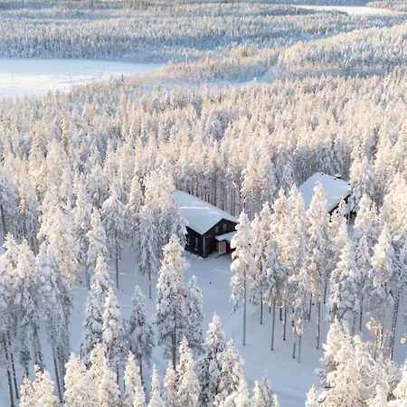 Huvilat Arctic Design Levi