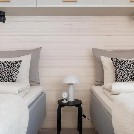 Huvilat Arctic Design