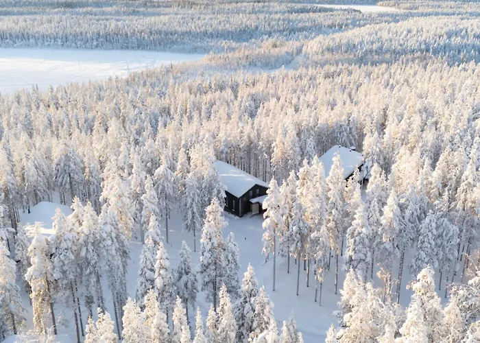 Huvilat Arctic Design Levi