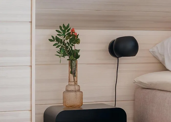 Huvilat Arctic Design Levi